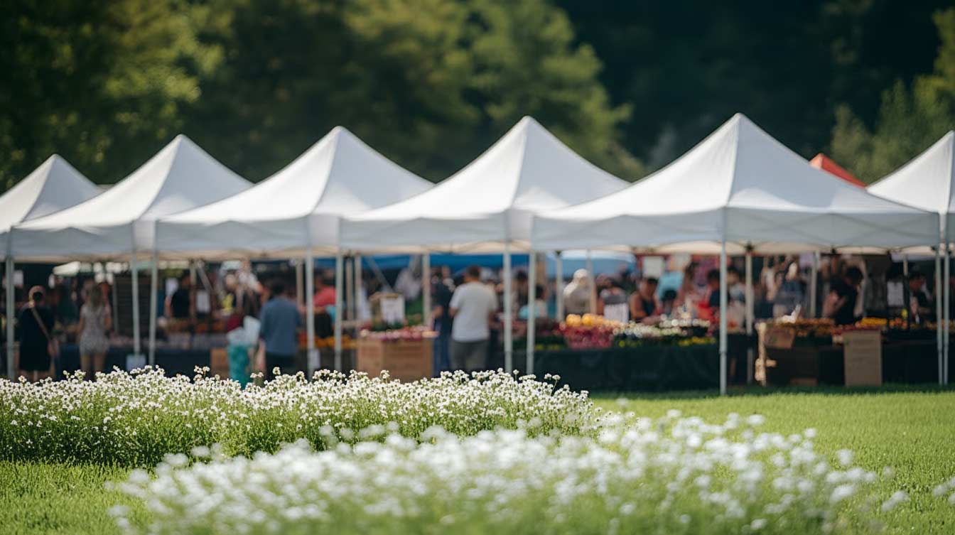 Outdoor marquee hire with white tents and people in a park setting